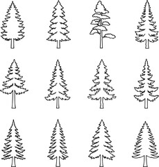 Obraz premium Isolated a kinds of deferent Pine. Minimal style cad tree line, Side view, set of graphics trees elements outline symbol for architecture and landscape design drawing. vector art with white background