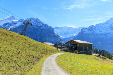 Fototapete bei efototapeten.de bestellen   