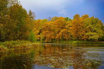 Golden Autumn Trees Reflected in a Calm Lake