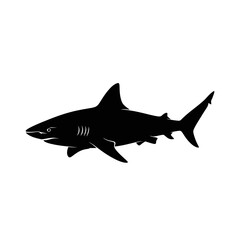 Obraz premium Powerful shark silhouette glides through ocean depths symbolizing strength and the wild marine environment