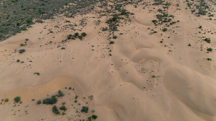Top-down aerial view of Khuri sand dunes in Jaisalmer, Rajasthan, captured in golden light, featuring desert vegetation like Khejri, Rohida, Babool, and Ker trees with visible sand textures, patterns