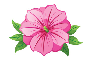 Obraz premium pink seraphina petunia flower vector in white background