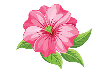 pink seraphina petunia flower vector in white background