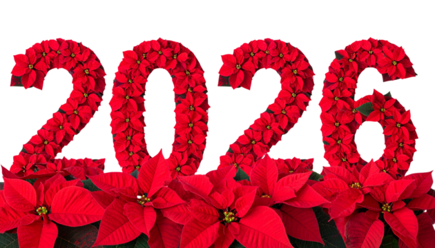 Festive Poinsettia Digit 2026 – Holiday Decoration PNG Transparent