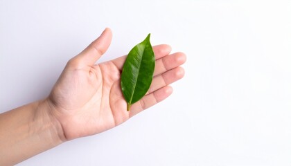 A hand holding a vibrant green leaf, symbolizing nature and the environment