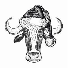 Christmas Cow Santa Hat Sketch Festive Holiday Animal Illustration