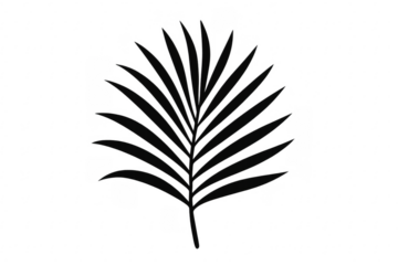 Black palm leaf silhouette displaying tropical nature