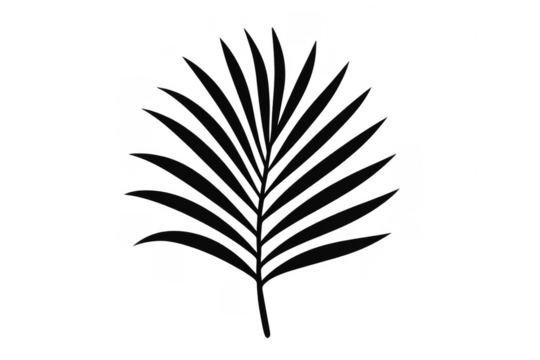 Black palm leaf silhouette displaying tropical nature - Powered by Adobe