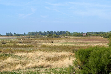 r&eacute;serve naturelle du Marais d'Yves; 17, Charente Maritime, France