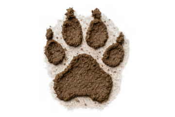 Dog paw print made of mud, tracing dirty footprint on transparent background, pet track, dirt symbol