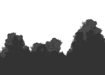 Silhouette of trees against a dark and atmospheric evening sky backdrop