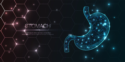 Human stomach abstract 3D, organ anatomy with low poly wireframe design, 
Concept gastric care and futuristic technology. Geometric hexagon background. Vector illustration.
