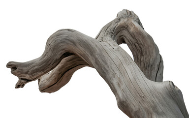 Gnarly weathered driftwood branch with intricate textures and curves isolated on transparent background