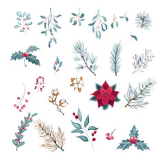 Set of decorative plants Christmas