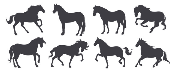Set of horse silhouettes from various breeds. Vector collection of stallions and mares, foals in different poses. Farm or wildlife equines standing and galloping, jumping and rearing