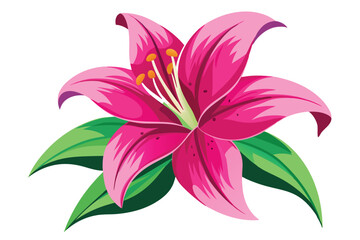 lily in shocking pink color vector in white background