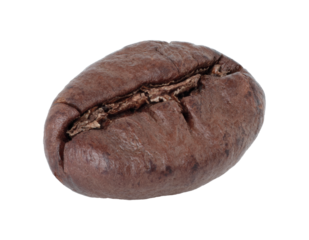 Roasted Coffee Bean in full focus, isolated on transparent background