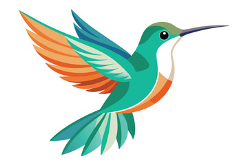 hummingbird vector in white background