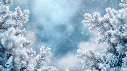 Snow-covered branches frame a serene winter landscape, with softly falling snowflakes creating a tranquil atmosphere and a dreamy blue background, evoking a peaceful seasonal scene