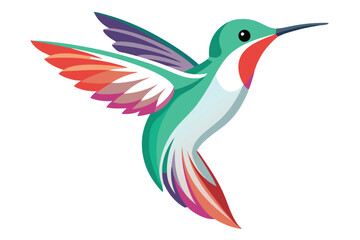 hummingbird vector in white background