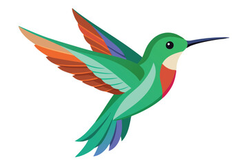 hummingbird vector in white background