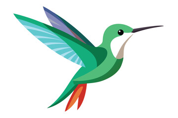 Obraz premium hummingbird vector in white background