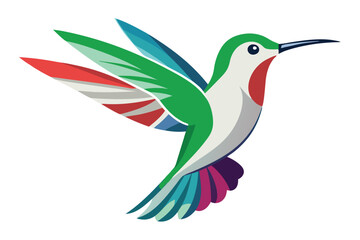 hummingbird vector in white background
