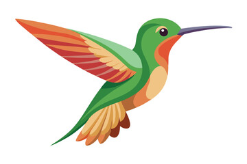 hummingbird vector in white background