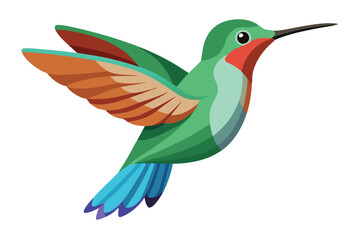 Obraz premium hummingbird vector in white background