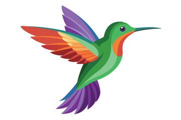 hummingbird vector in white background