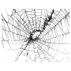 Obraz premium Black spieder web frame border isolated on white or transparent png