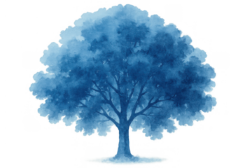 Blue watercolor tree illustration on a transparent background. Depicting nature, environment, growth, and tranquility concepts