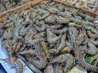 Penaeus monodon or giant tiger prawn, Asian tiger shrimp, black tiger shrimp, is a crustacean that is widely cultivated for consumption.