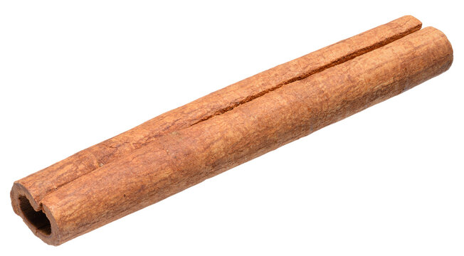 Dry cinnamon stick on isolated background