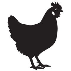 Silhouette of a black chicken standing still