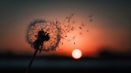 A close-up shot of a dandelion with its seeds blowing away, set against a beautiful sunset. The scene captures the beauty and serenity of nature.