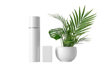 Stylish indoor plant with modern decor elements. isolated on a transparent background.