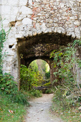 Fototapeta premium Plants in Samobor Castle in Croatia