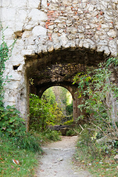 Plants in Samobor Castle in Croatia