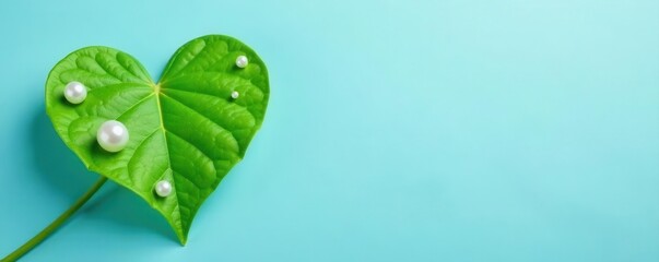 Heart-shaped green leaf with pearl beads; pastel blue backdrop , nature, heart leaf