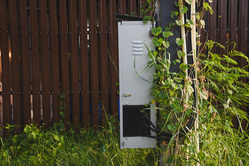 Electrical box and wires covered by vines next to wood fence.