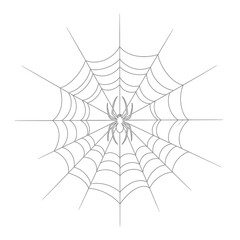 Fototapeta premium Detailed illustration of a spider and its intricate web