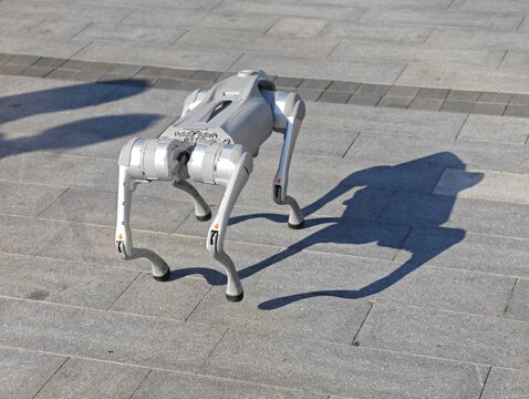 Shanghai,China-Oct.25th 2025: Unitree Go2 quadruped robot dog