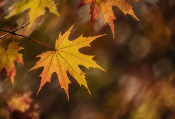 Obraz premium Vibrant autumn maple leaves create a stunning display of yellow and orange hues. The soft blur enhances their beauty, capturing the essence of fall in a serene landscape Generative AI