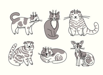 Collection of cute adult cats, different breed. Sitting, standing. Hand drawn vector outline sketch illustrations. Contour art. Black color. White background.