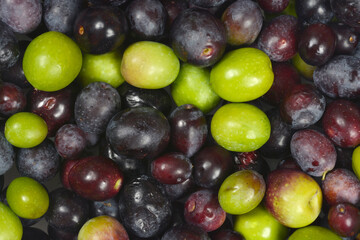 A horizontal, full-frame close-up of a tightly packed mix of fresh green, black, and dark purple olives.