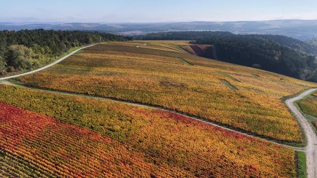 vue a&eacute;rienne des vignobles des Riceys en Champagne. les parcelles color&eacute;es durant l'automne avec de belles couleurs et un ciel bleu. Le feuillage rouge et jaune des vignes sur les c&ocirc;teaux de ce site