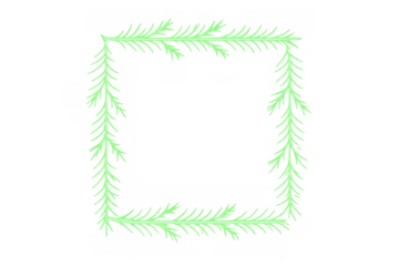 Green fir tree branches forming a glowing square frame, creating a festive border for holiday designs with a transparent background