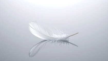 White feather floating gently in the air, symbol of lightness, purity, and freedom