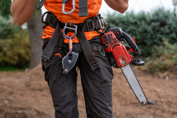 Arborist preparing for tree work, wearing safety harness, carabiners, and carrying a powerful...